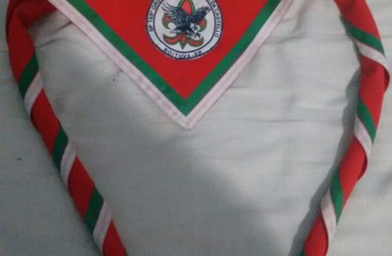 grupo escoteiro aguia da castelo