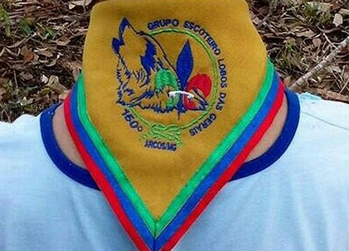 Grupo Escoteiro Lobos Das Gerais