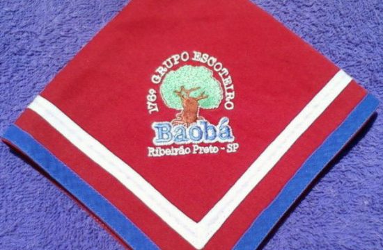 Grupo Escoteiro Baobá