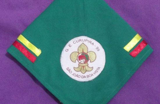 Grupo Escoteiro Curupira