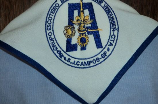 Grupo Escoteiro Do Ar Professor Verdussen