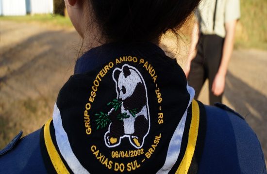 Amigo Panda - 296/RS 3