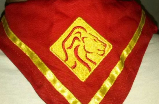 Grupo Escoteiro Leao De Juda