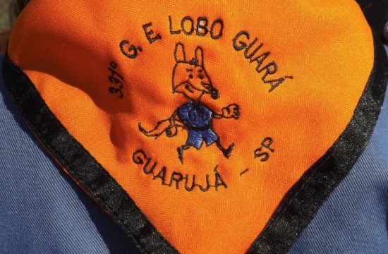 Grupo Escoteiro Lobo Guara