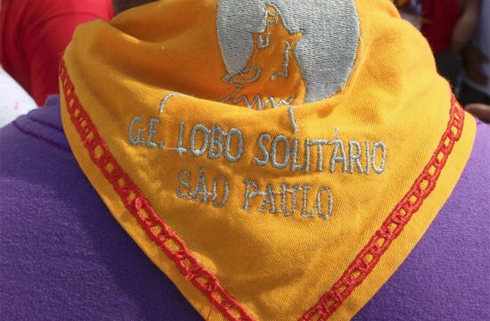 Grupo Escoteiro Lobo Solitario