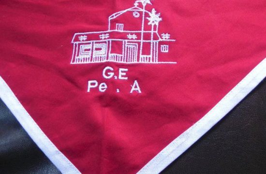 Grupo Escoteiro Padre Aleixo