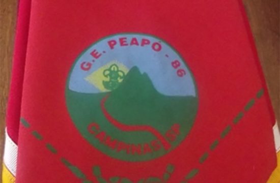 Grupo Escoteiro Peapo