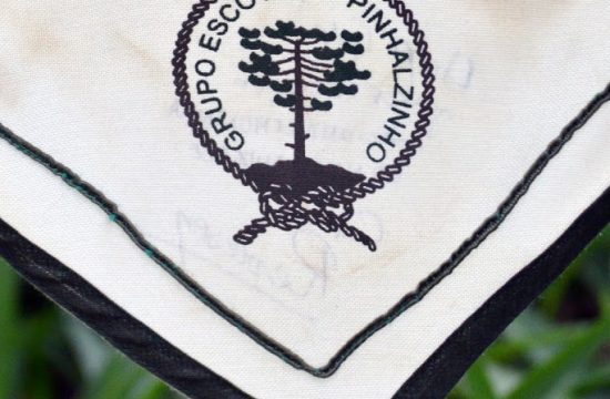 Grupo Escoteiro Pinhalzinho