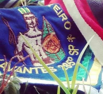 Grupo Escoteiro Xavantes