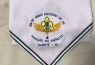 Grupo Escoteiro do Ar Aviação do Exercito
