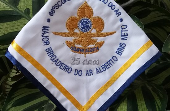 Major Brigadeiro do Ar Alberto Bins Neto - 066/SC 3