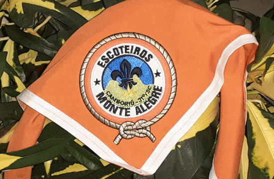 Monte Alegre - 031/SC 5