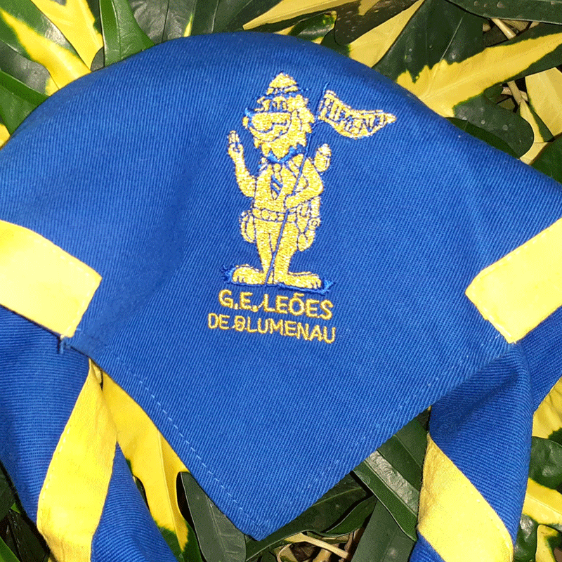 Leões de Blumenau - 032/SC 1