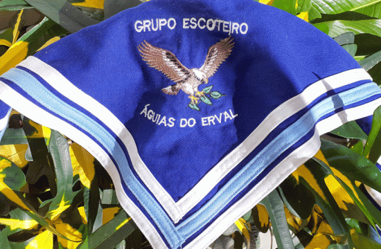 Águias do Erval - 158/SC 10