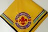 Ipe Amarelo - 031/GO 1