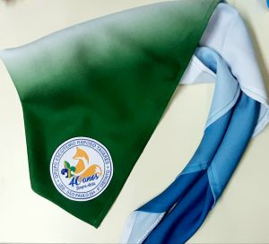 Raposo Tavares - 254/SP 4